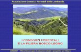 I CONSORZI FORESTALI E LA FILIERA BOSCO LEGNO 2017/FORLENER - Filiera bosco legno... · Associazione Consorzi Forestali della Lombardia ... DEL TICINO LARIO CERESIO LARIO INTELVESE