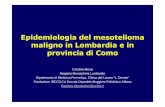 Epidemiologia del mesotelioma maligno in Lombardia e in ... · • Stima dell’incidenza dei casi di MM in Lombardia; ... tumori. Criteri di ... 2009 585 357 2010 697 404 2011 489