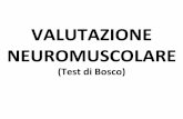 VALUTAZIONE++++ NEUROMUSCOLARE+ - DidatticaWEBdidattica.uniroma2.it/assets/uploads/corsi/146263M1505/Lezione_STS... · VALUTAZIONE+FUNZIONALE:+ ... Le prove standard del TEST di BOSCO