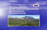 Anno 2008 – N° 1 - associazionebotanicabresciana.it · APPUNTI DI STORIA DELL’ASSOCIAZIONE . ... uno specifico sodalizio cui diede il nome di Associazione Botanica Bresciana.