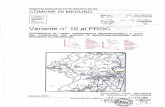  · Relazione Estratto tavole di ... Il Consorzio per il Nucleo di industrializzazione della Provincia di Pordenone ... DI Variante 10 al PRGC COORDINATA AL PIANO ...