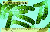 F. Microrganismi - cosmesinice2.cosmesinice.itcosmesinice2.cosmesinice.it/webApp/portal/sites/default/files/blog... · metalli, plastica ed altri materiali, in presenza di ACQUA .