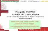 Progetto TEPASS Attività del CIRI Cesena · prestazioni dei materiali di imballaggio di controllo ed innovativi (biodegradabili) oggetto di ricerca; - (OR 5): studio delle caratteristiche
