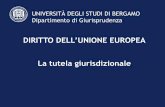 DIRITTO DELL’UNIONE EUROPEA -  · UNIVERSITÀ DEGLI STUDI DI BERGAMO UNIVERSITÀ DEGLI STUDI DI BERGAMO Dipartimento di Giurisprudenza DIRITTO DELL’UNIONE EUROPEA La tutela giurisdizionale