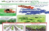 Agric24magazine n. 1 Maggio 2012 - multimedia.b2b24.itmultimedia.b2b24.it/Flipit/bus_agr_1206041138/megazine/pdf/bus_agr... · SERRA FOTOVOLTAICA A CURA DI BEATRICE TONI IMPIANTO