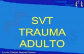 SVT TRAUMA ADULTO - caldinesoccorso.it · Il Soccorso Vitale di base al Traumatizzato (SVT) Basic Trauma Life Support (BTLS) Pre-hospital Trauma Care (PTC) tecnica di soccorso per