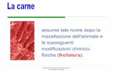 assume tale nome dopo la macellazione dell'animale e le ...chimicagraria.altervista.org/alterpages/files/8-produzione_carne... · La trasformazione del muscolo in carne avviene dopo