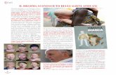 IL DRAMMA SCONOSCIUTO DEGLI ALBINI AFRICANI · gici, in grado di donare ricchezza, fertilità e buona sorte a chi se ne appropri. ... in difficoltà, ad esempio gli albini malati