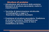 Struttura di proteine - users.dimi.uniud.itagostino.dovier/DID/LUCIDI/fogolari... · Le proteine sono molecole, fondamentali per tutte le funzioni cellulari ... molecole organiche