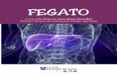 FEGATO - irp-cdn.multiscreensite.com (7... · Cos è il FEGATO? boidrati e delle proteine, interviene nel meta- ... L’emocromatosi è un disturbo ereditario che causa accumulo di
