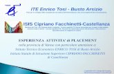 ITE Enrico Tosi - Busto Arsizio ISIS Cipriano Facchinetti ...w5.itctosi.va.it/alternanza_ifs/materiali-placement-fixo/Esperienza... · opportuni portali •Interviste post diploma