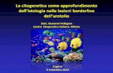 La citogenetica come approfondimento dell’istologia nelle ...fish.cdi.it/filemanager/cms_cdi/fish/Approfondimenti/Urine/La_cito... · Murphy et al (1994) Amin et al (1996) •IliIperplasia