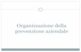 Organizzazione della prevenzione aziendaleformazione.studiorivelli.it/admin/corsobase/Dispense Lezione 2.pdf · La normativa e le figure coinvolte COSTITUZIONE DELLA REPUBBLICA ITALIANA