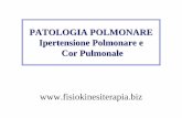 PATOLOGIA POLMONARE Ipertensione Polmonare e Cor … · IPERTENSIONE POLMONARE PRIMARIA SPORADICA ... Ipertensione polmonare secondaria a BPCO. Ipertensione polmonare secondaria a