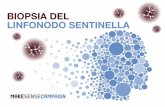 BIOPSIA DEL LINFONODO SENTINELLA - makesensecampaign.eu · La biopsia del linfonodo sentinella è una procedura nel corso della quale il linfonodo sentinella viene identificato, ...