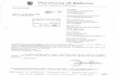  · ECO/responsabile del procedimento: Ottorino Fossen— tel. 0437959291 — e-mail: ... Art.l E' concessa alla ditta La Dolomiti Ambiente S.p.A. di Belluno, ...
