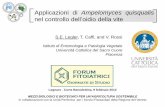Applicazioni di Ampelomyces quisqualis - Veneto Agricoltura Fito 025... · Alcuni ceppi sono già stati sviluppati commercialmente come agenti di biocontrollo dell’oidiodella vite