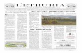 L'ETR. IMP. 22/2006 - letruria.it · questo stesso giornale, di un incontro a tavola in una bella villa del cortonese. ... vicenda delle centrali a bio-masse di Foiano ha dimostra