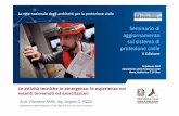 SSeminarioeminario di sul sistema di protezione civile - F Papa-AG Pizza... · Arch. F. Papa, Ing. A. G. Pizza, Dipartimento della Protezione Civile 10 Înecessità di organizzazione
