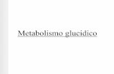 Metabolismo glucidico - momilab.files.wordpress.com · Metabolismo glucidico. Glicemia a digiuno •La concentrazione del glucosio nel sangue è una ... Fabbisogno giornaliero di