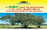 L’ per la potatura ABC e la cura degli alberi ornamentali ... · L’albero di ciliegie potato in inverno o in primavera rimarrà ... Eliminate le parti legnose fruttifere più