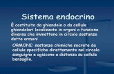 Sistema endocrino - dbcf.unisi.it · È costituito da ghiandole o da cellule ghiandolari localizzate in organi a funzione diversa che immettono in circolo sostanze dette ormoni Sistema