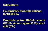 Selvicoltura La superficie forestale italiana: 6.762.000 ... · Funzione produttiva largamente insufficiente a coprire il fabbisogno della nostra industria del legno