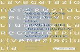 Lavegetazio neforestal eelaselvico - regione.fvg.it · stale e la selvicoltura”, un cofanetto in due volumi nei quali era proposto un inquadramento tipologico dei boschi della Regione.