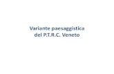Variante paesaggistica del P.T.R.C. Veneto - tecnoiura.comtecnoiura.com/public/ContentItems/it-IT.rci_0635591911814048750/Ppt... · del P.T.R.C. Veneto. Pianificazione paesaggistica