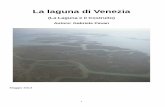 La laguna di Venezia - Associazione Pionieri e Veterani Eni · colmata di sedimenti alluvionali trasportati dai numerosi fiumi e torrenti che erodevano i rilievi ... litorali e nel