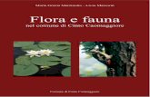 Flora e fauna - static.soraimar.itstatic.soraimar.it/13086/9485.pdf · Fiumi di risorgiva: Caomaggiore e Reghena ..... pag. 37 ELENCO DELLE SPECIE DEGLI AMBIENTI ... La pianura Padana
