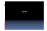 Ag-Ab - ermialuthien.altervista.orgermialuthien.altervista.org/PoloCMedicina/Immunologia/Ab-Ag.pdf · Reazione Antigene-Anticorpo Immunocomplesso: reazione dell’antigene con il