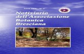 Anno 2009 – N° 2 - Associazione Botanica Bresciana · flora perché a situazioni locali che risentono di attività antropiche passate e presenti si sovrappongono zone di ambiente