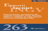 ISSN 2039-7941 t Anno 2013 Numero apporti tecniciistituto.ingv.it/images/collane-editoriali/rapporti tecnici... · INGV(Istituto Nazionale di Geofisica e Vulcanologia, Sezione di