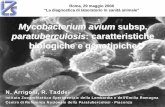 Mycobacterium avium subsp. - izsler.it · Tassonomia “Mycobacterium ... ACQUISIZIONE DEL FERRO NEI MICOBATTERI mycobactin Esterno Parete cellulare Interno esocheline Fe Fe-esocheline