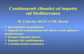 Cambiamenti climatici ed impatto sul Mediterraneogeomatica.como.polimi.it/ambiente/doc/Colacino-Cambiamenti... · Rischio ambientale ed economico per le zone costiere e necessità