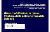 Wood mobilization: la nuova frontiera delle politiche ... prof. Davide Pettenella - Wood... · frontiera delle politiche forestali europee Davide Pettenella CONAF – Convegno “Gestione