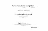 Caleidoscopio - Home - Medical Systems SpA · Deve essere scritta su fogli a parte secondo ordine alfabetico seguendo le abbreviazioni per le Riviste ... micobatteri, proseguono con