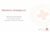 Croce Rossa Italiana Operatore dell’Area Sviluppo · Obiettivo 6 Agiamo con una struttura capillare, efficace e trasparente, facendo tesoro dell'opera del Volontariato