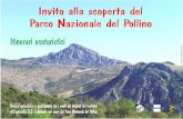 Invito alla scoperta del Parco Nazionale del Pollino · Si prosegue poi verso il Rifugio dei Briganti fino alla Timpa di Vitelli. Il Sentiero dei Briganti , situato nel cuore del