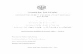 Università degli Studi di Cagliari - UniCA Eprintsveprints.unica.it/1354/1/pHD_Thesis_Corona.pdf · cardiomiopatia ipertrofica e scompenso cardiaco. ... spinale (1,2). Inizialmente
