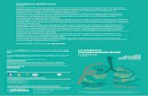 LE GIORNATE PNEUMOLOGICHE IRPINE IV Edizione · Mario Polverino (Polo Pneumologico ASL Salerno Presidio Ospedaliero M. Scarlato - Scafati) 12.30 – 13.00 Tumore del polmone e iter
