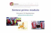 Sintesi modulo 2012 - giovanni di bartolomeo's websitedibartolomeo.comunite.it/courses/epeg/Sintesi modulo 2012.pdf · • Teoria del commercio internazionale •Argomenti – Teoria