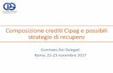 Composizione crediti Cipag e possibili strategie di recupero Riscossione_Crediti_CIPAG (2... · Composizione crediti Cipag e possibili strategie di recupero Comitato Dei Delegati