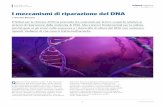N.09 — DICEMBRE 2015 I meccanismi di riparazione del DNA · radiazioni ultraviolette, si assiste alla formazione di un legame sbagliato tra due basi di timina ... I meccanismi di