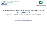 L’inventario delle emissioni di metalli pesanti in Lombardia · Hulskotte et al. 2006). Tutte le emissioni generate dal traffico veicolare sono state calcolate con ... Emissioni