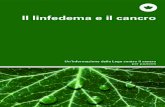 Il linfedema e il cancro - Un’informazione della Lega ... · > il timo > la milza > le tonsille > il tessuto linfatico delle mucose. Il linfedema e il cancro 7 I vasi linfatici