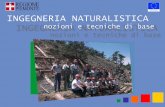 Manuale di Ingegneria Naturalistica - Sito ufficiale … l manuale “Ingegneria Naturalistica: nozioni e tecniche di base” è stato elaborato da CSEA (Società Consortile per Azioni)