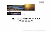 IL COMPARTO ACQUA - Home: Università Ca' Foscari Venezia · della trasformazione e sara' appunto questo il suo ruolo. ... organica per scopi plastici (costruzione della cellula microbica)