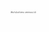 Metabolismo aminoacidi - unife.it · Metabolismo amminoacidi- proteine Gli amminoacidi derivano - dalla demolizione (riciclaggio) delle proteine cellulari - dalla degradazione delle